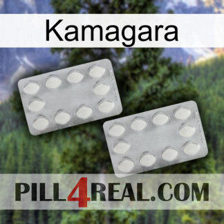 Kamagara 17